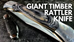 Read more about the article Timber Rattler Scarab Back – Giant Folding Knife Madness!