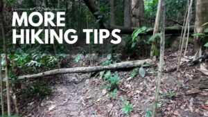 Read more about the article More Practical Jungle Hiking Tips for Beginners