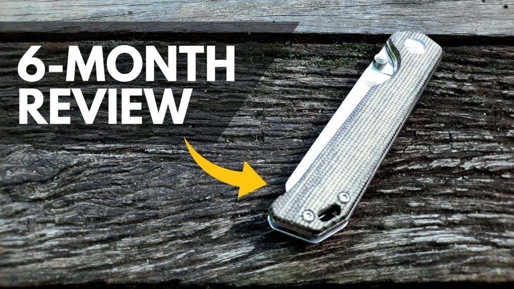 Read more about the article Kizer Begleiter Mini 6-Month Review