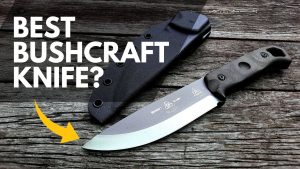 Read more about the article Will the Tops Brakimo Be My New Bushcraft Knife? | Review & Field Test
